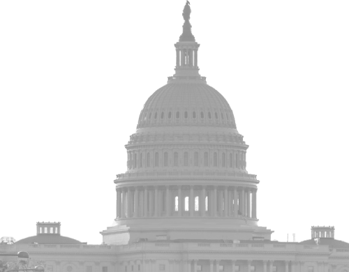 The image shows the United States Capitol building in Washington, D.C., characterized by its large dome and neoclassical architecture, ending the sentence.