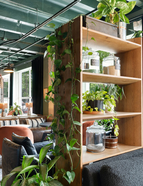 A stylish, modern interior features a wooden shelf with plants and jars, comfortable seating, and a green ceiling with industrial lighting.