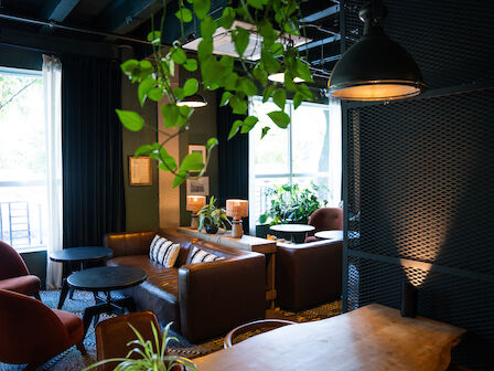 This image shows a cozy, modern living space with brown leather sofas, plants, warm lighting, and large windows.