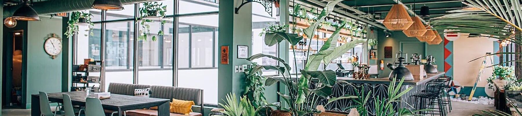 This image shows a modern, open-plan workspace with green accents, indoor plants, tables, and chairs, illuminated by industrial-style lighting.