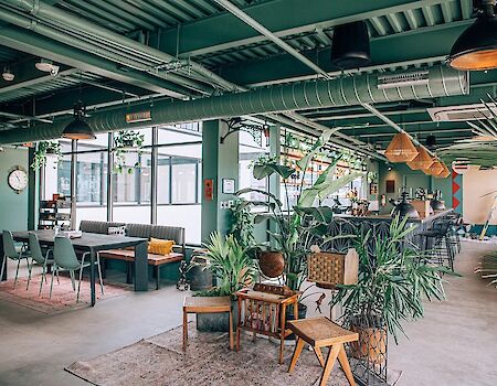 This image shows a modern, open-plan workspace with green accents, indoor plants, tables, and chairs, illuminated by industrial-style lighting.