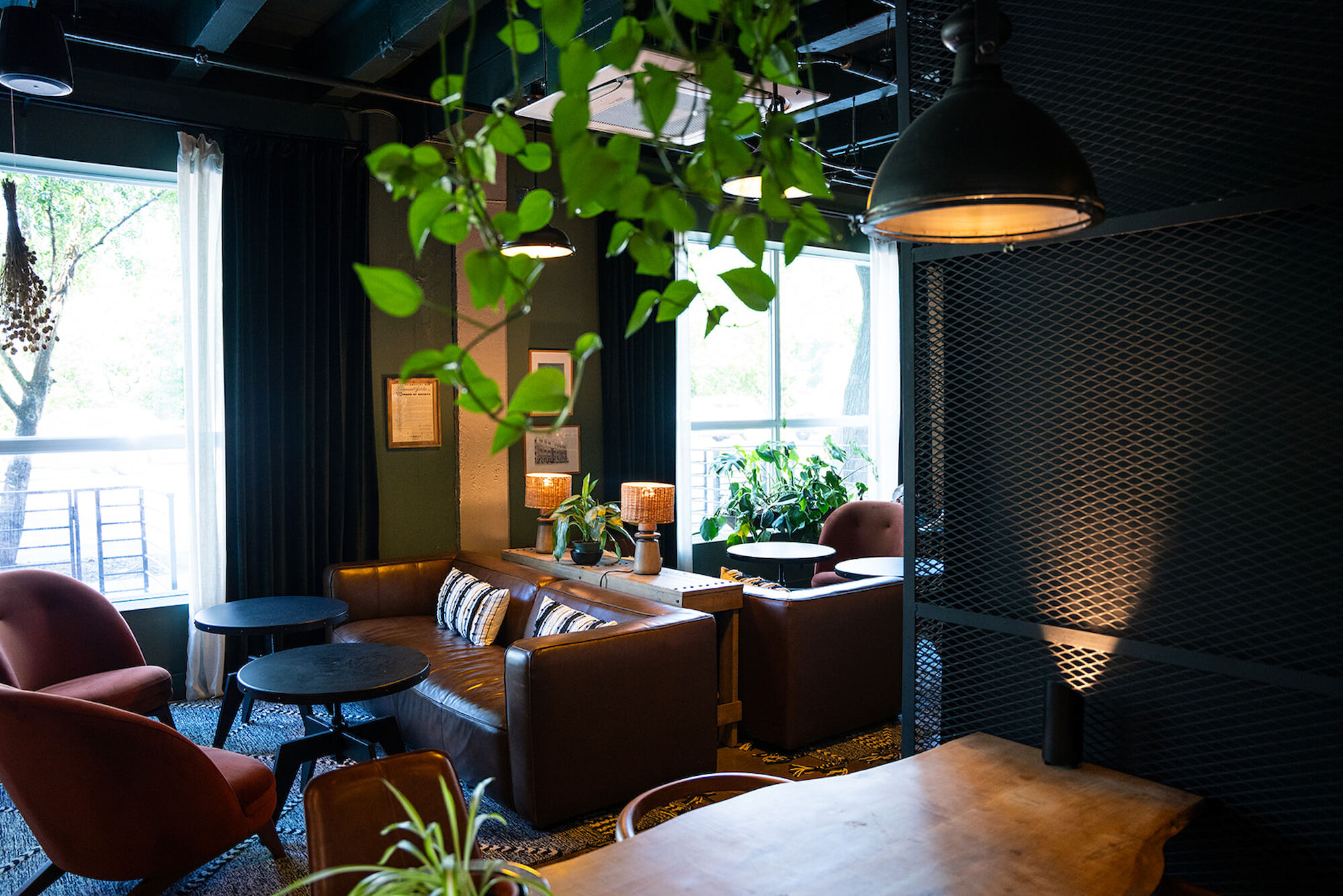 A cozy, modern living area with a leather sofa, armchairs, round tables, hanging plants, and large windows allowing natural light to enter the room.